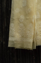 Load image into Gallery viewer, Bageecha Beige Chikankari Dupatta